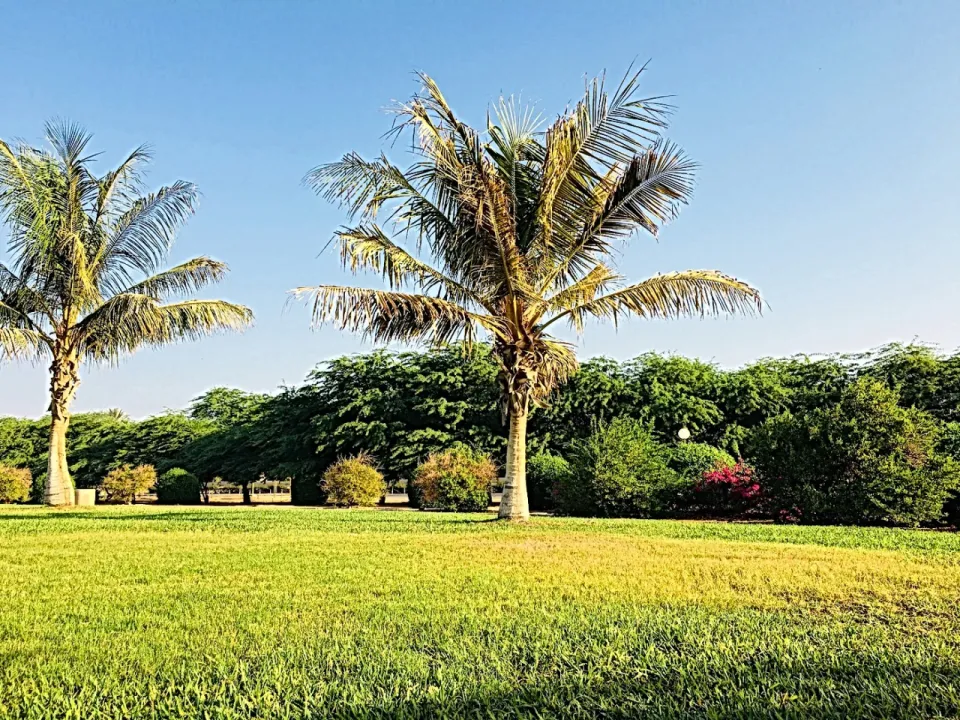 Park view 25