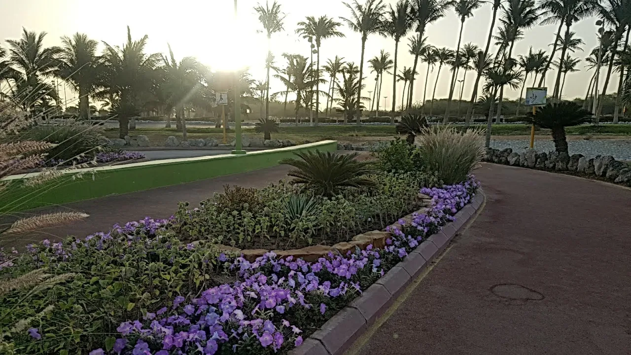 Park view 26