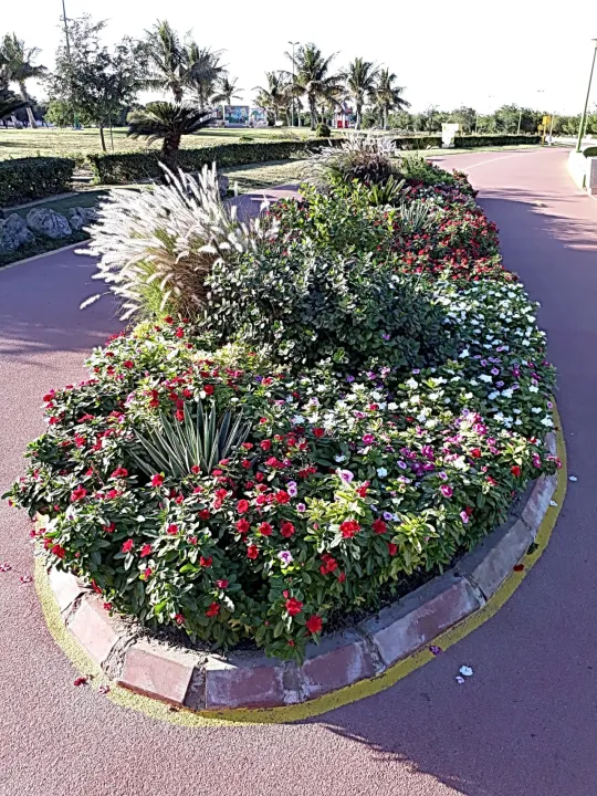 Park view 29
