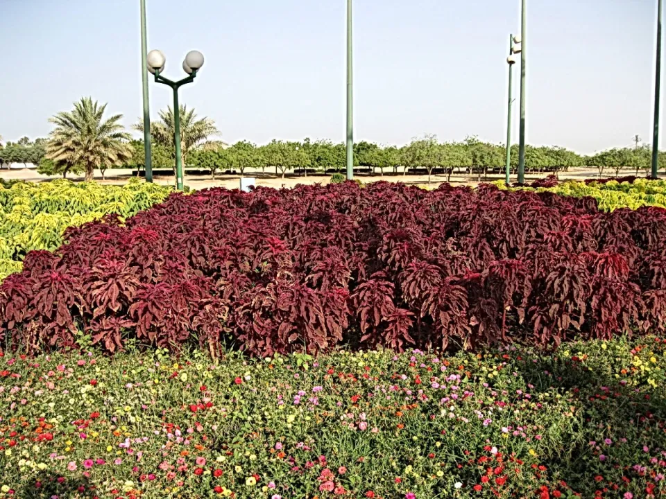 Park view 33