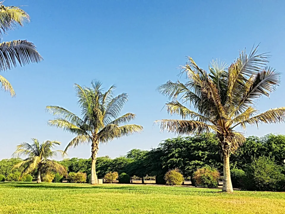 Park view 36