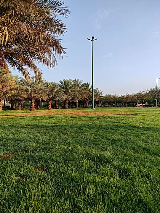 Park view 39