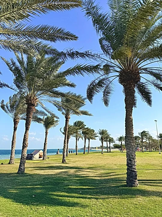 Park view 2
