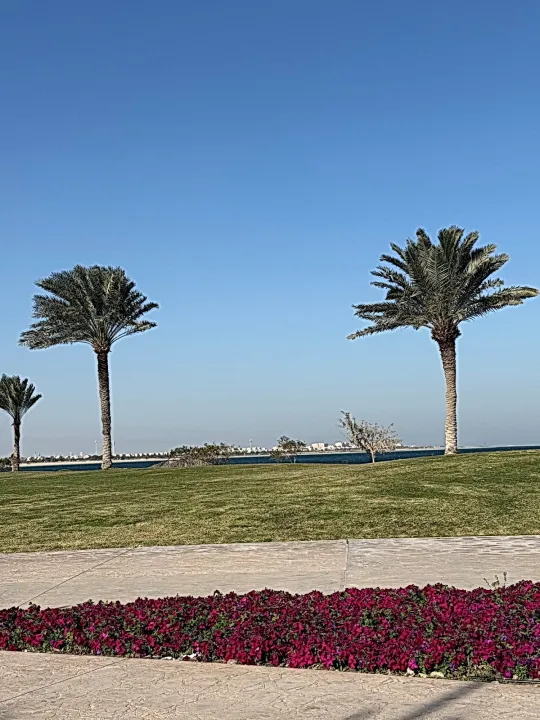 Park view 3