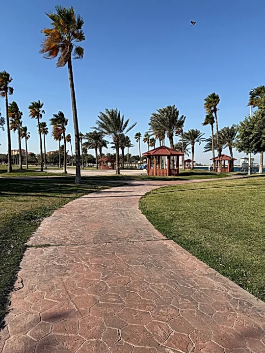 Park view 4