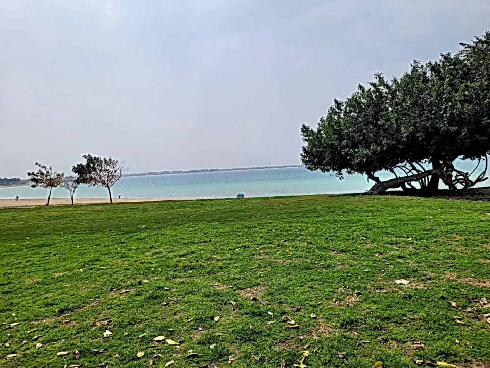 Park view 7