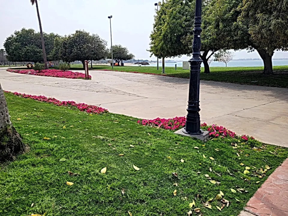 Park view 9