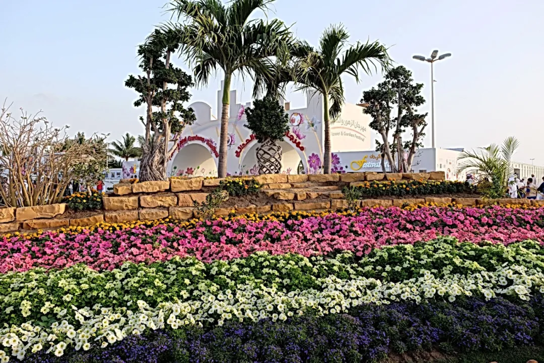 Park view 12