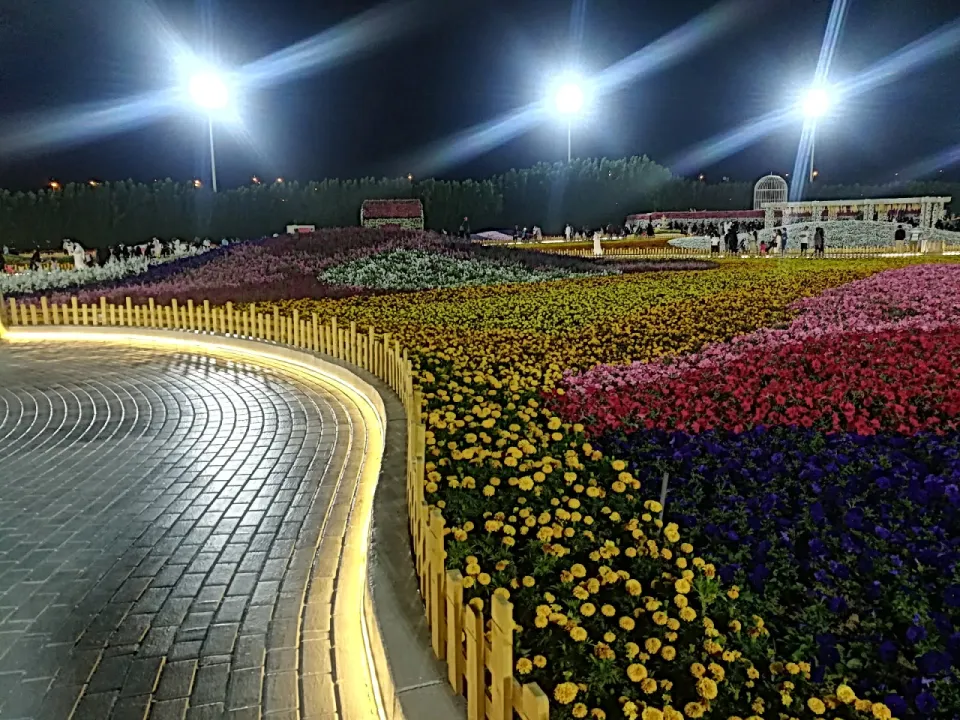Park view 17