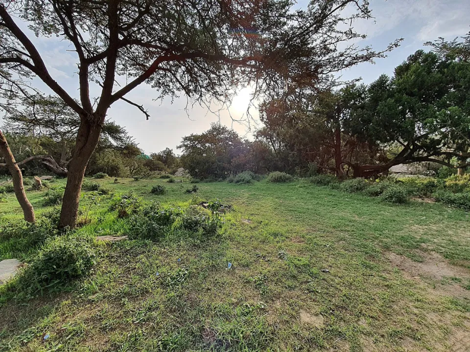 Park view 10