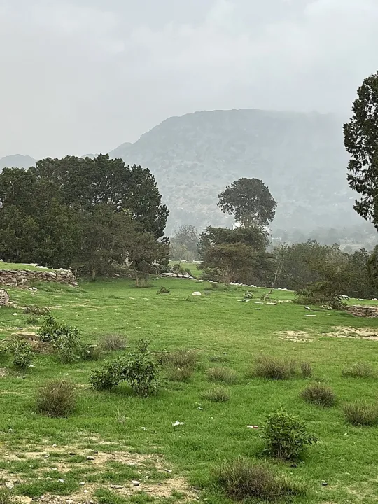 Park view 16