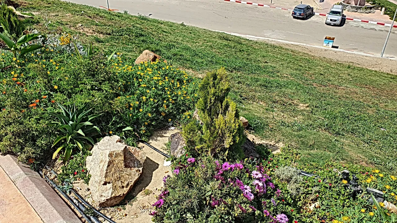 Park view 14
