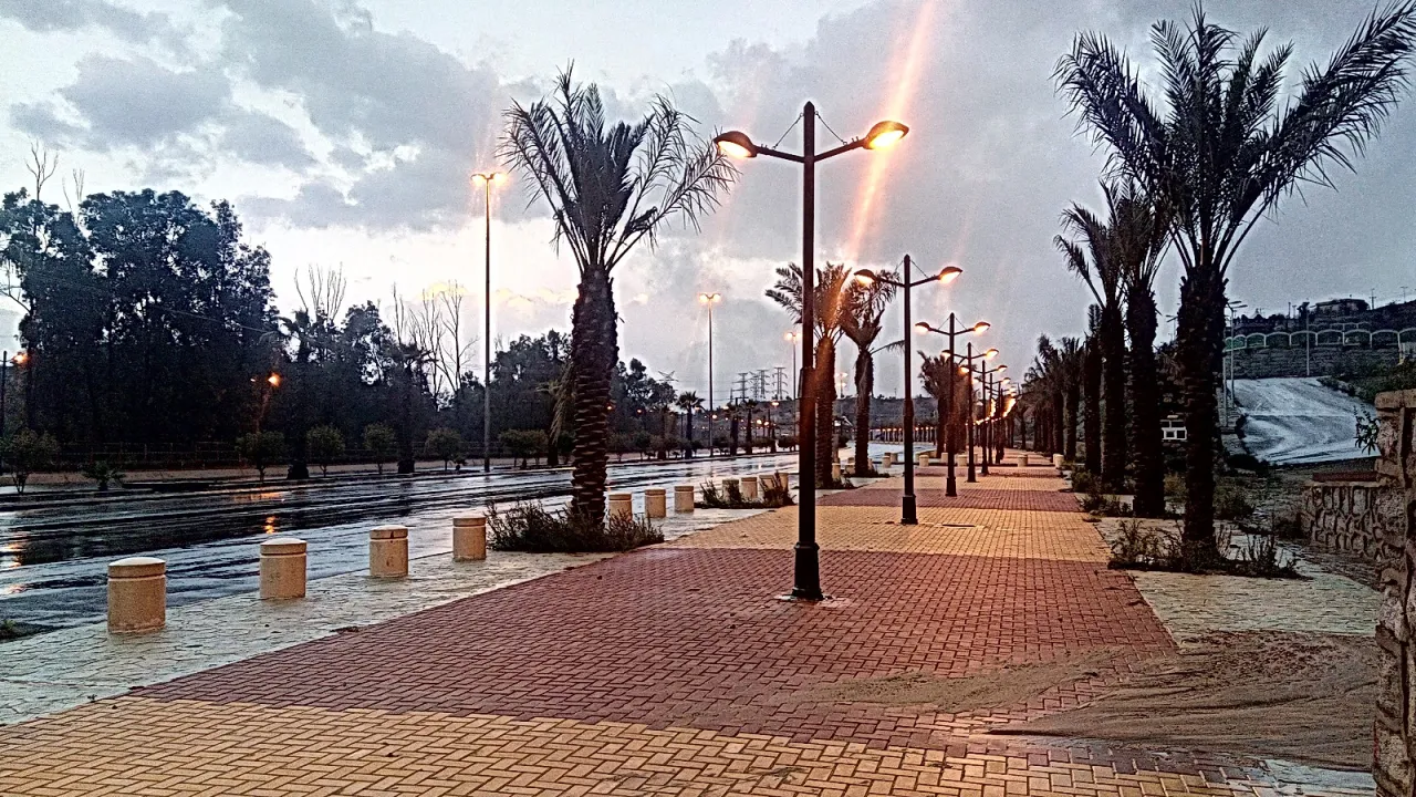 Park view 17