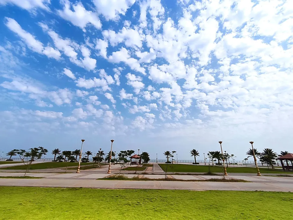 Park view 8