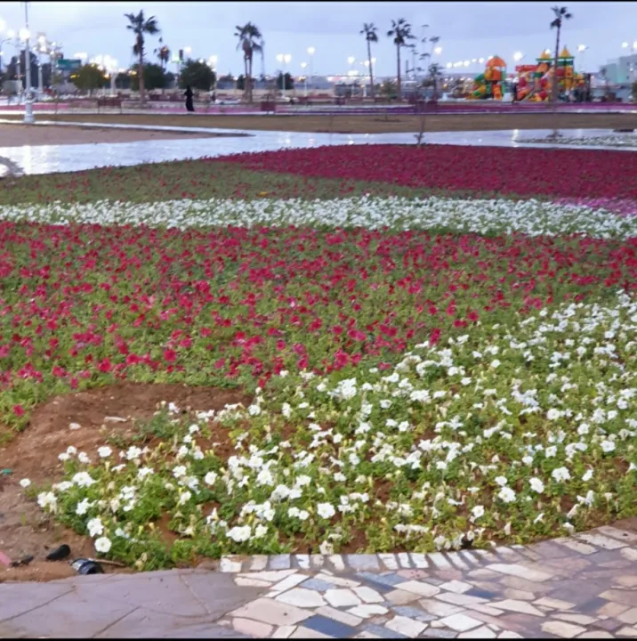 place