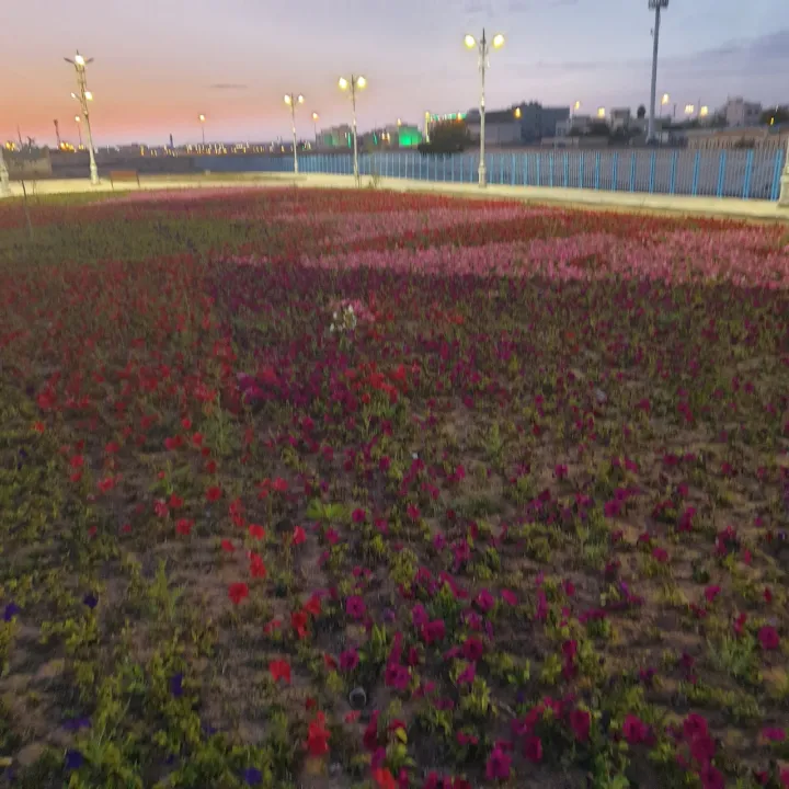 Park view 9