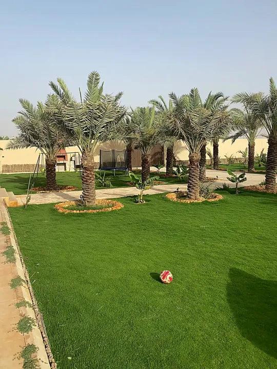 Park view 5